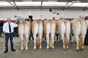 groep Eggerink