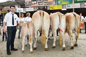 groep Berkhout Blondes