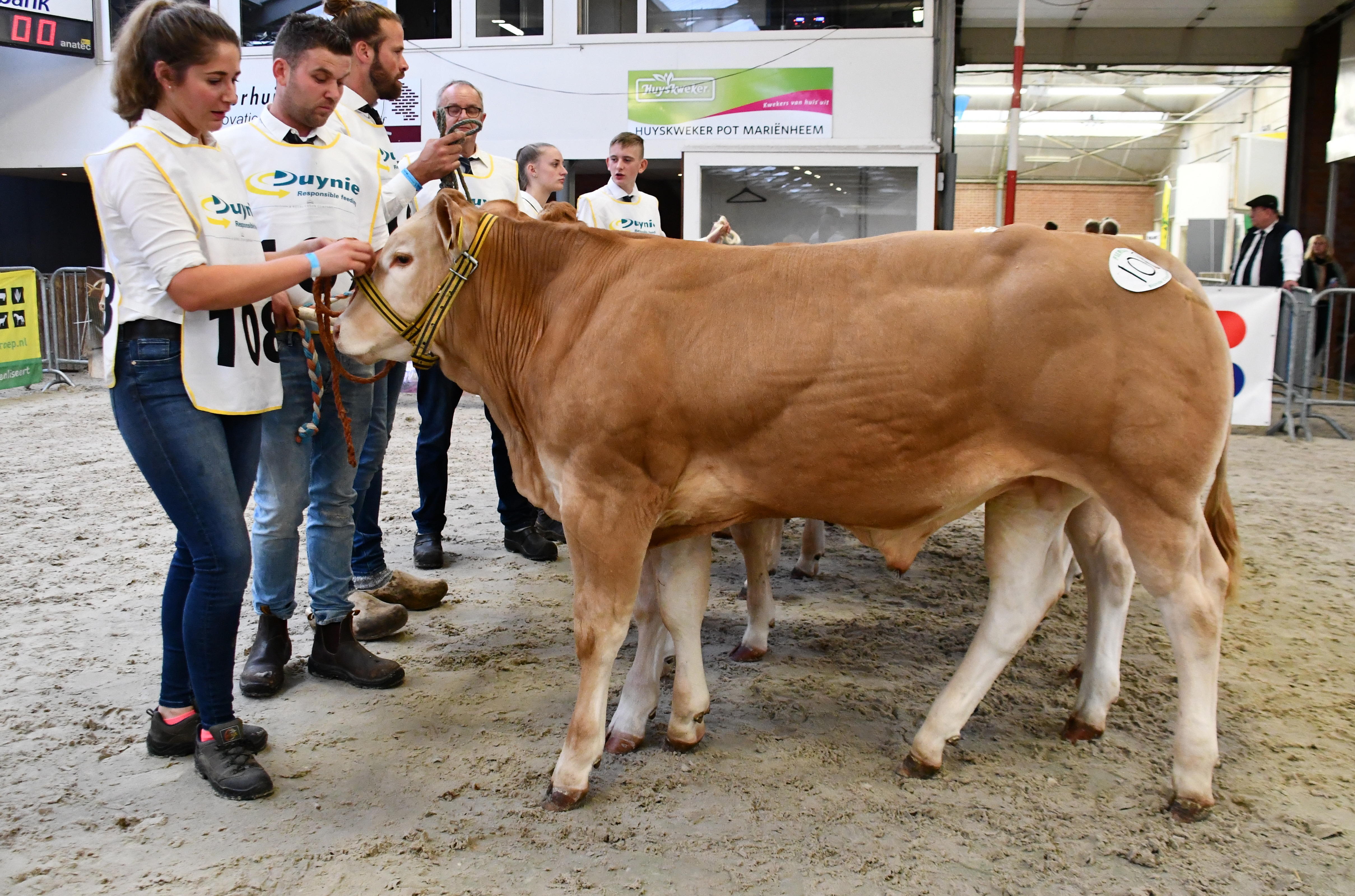 De reserve kampioenen mannelijk op de NVM