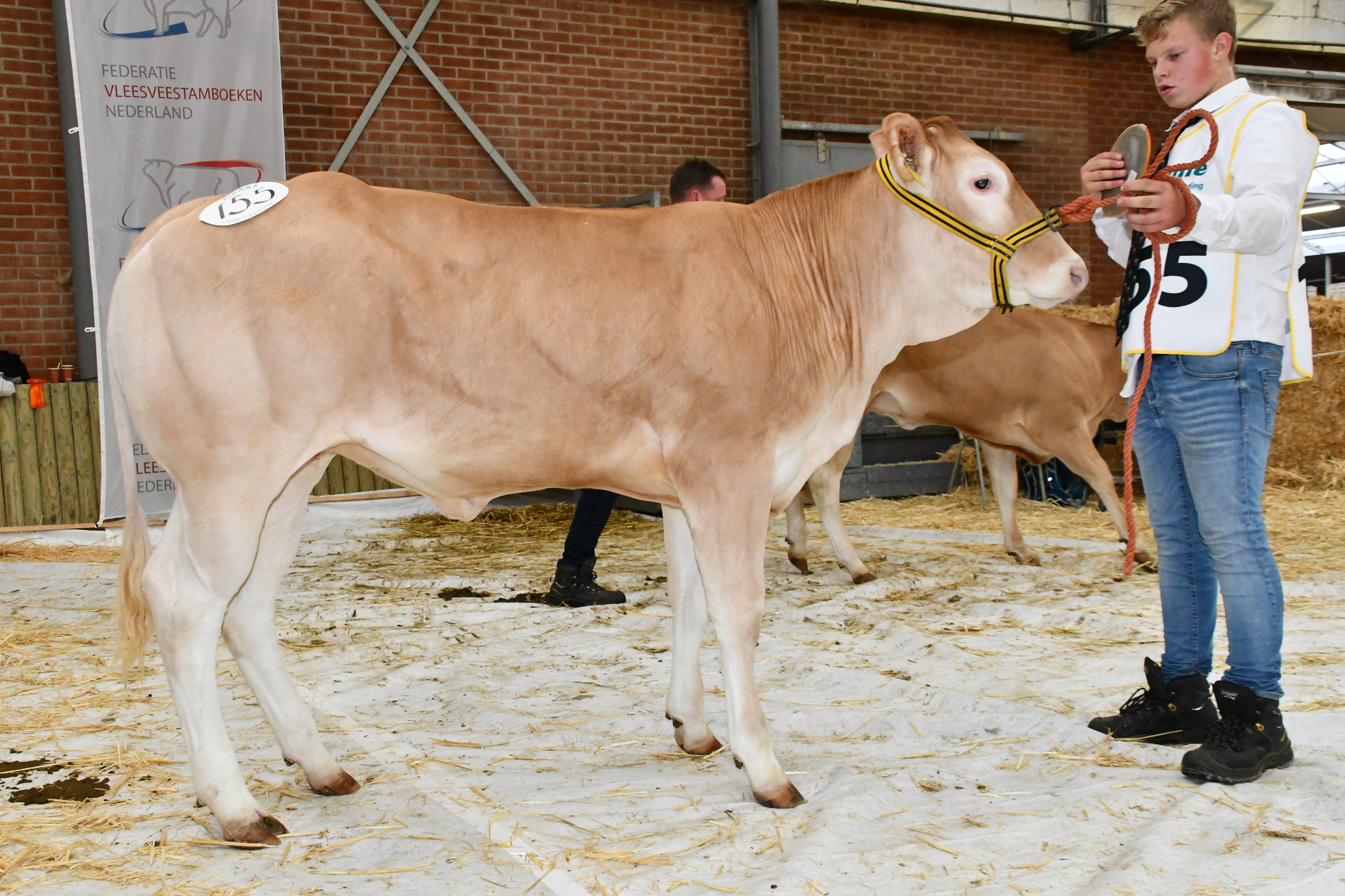 De reserve kampioenen vrouwelijk op de NVM