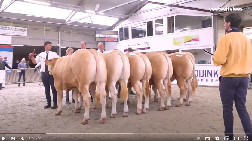 Video van de Nationale op de NVM