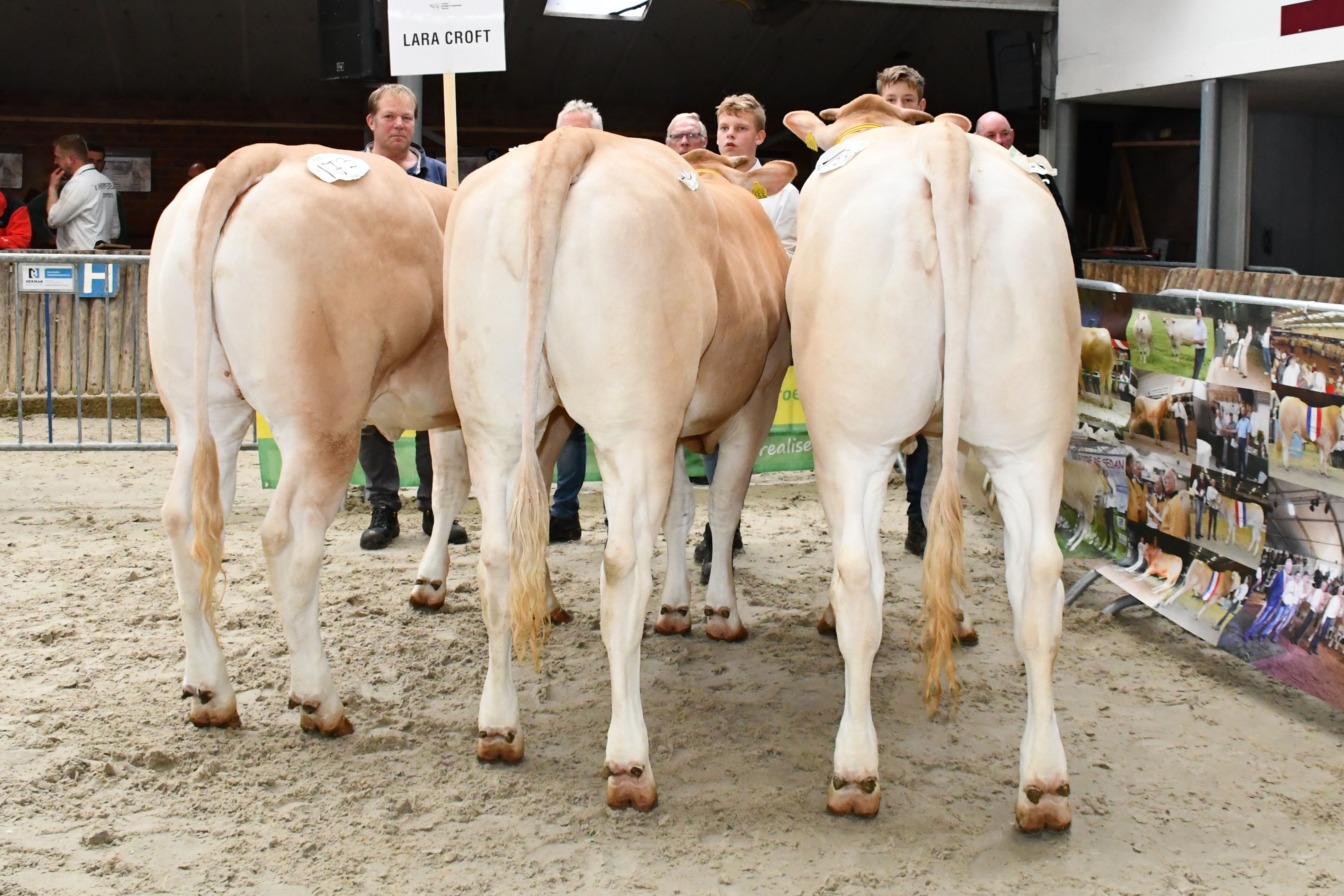Lara Croft wint nakomelingen competitie
