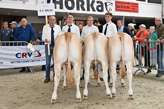 Fokgroep D.C. Online