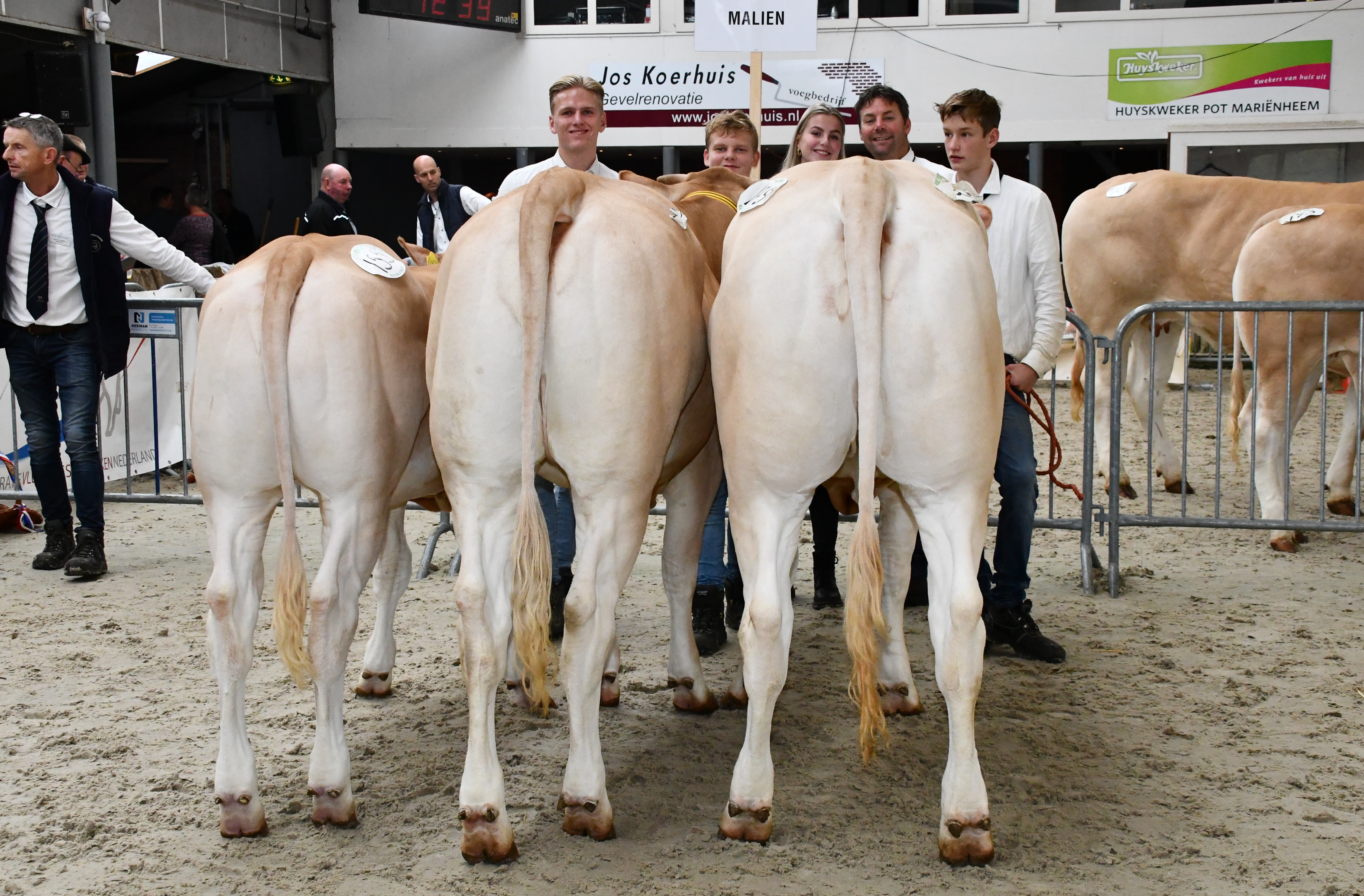 Groep van Malien beste bij de stierengroepen op de NVM