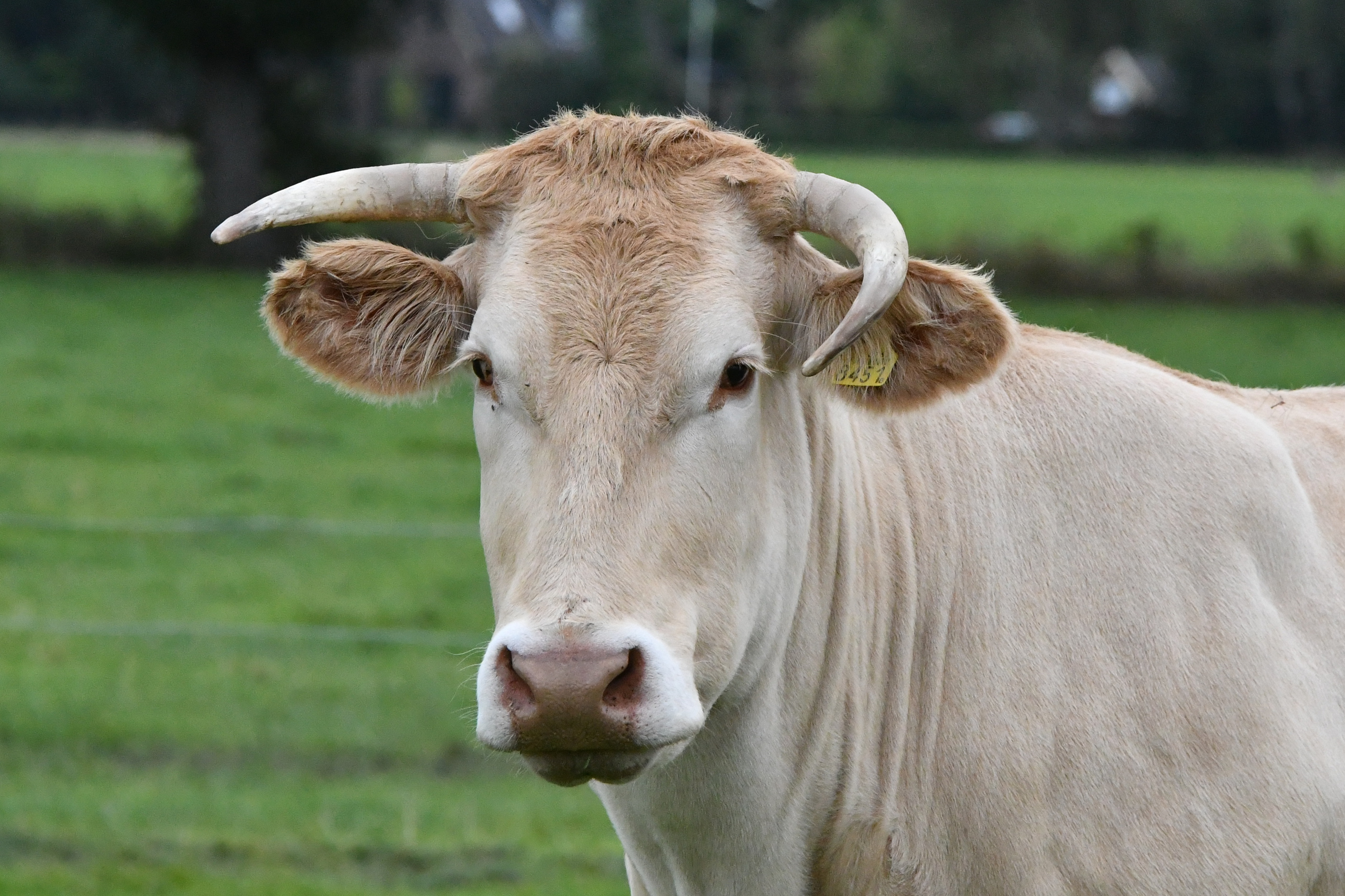 Opgave bedrijfsinspectie