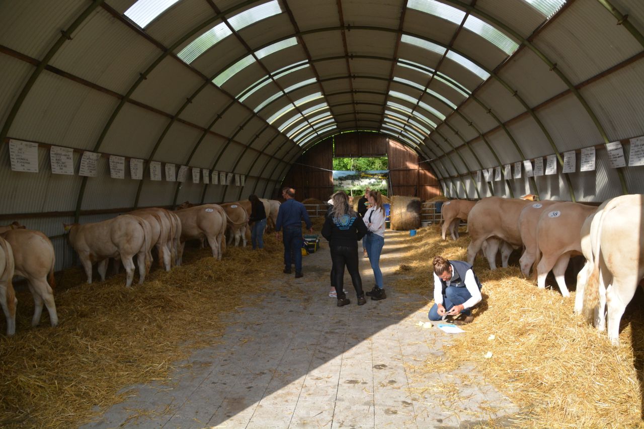 Jongveekeuring ook in 2023