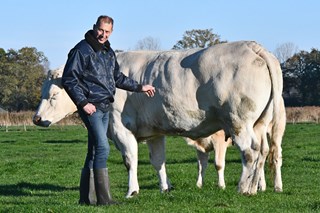 Han Groote Wolthaar