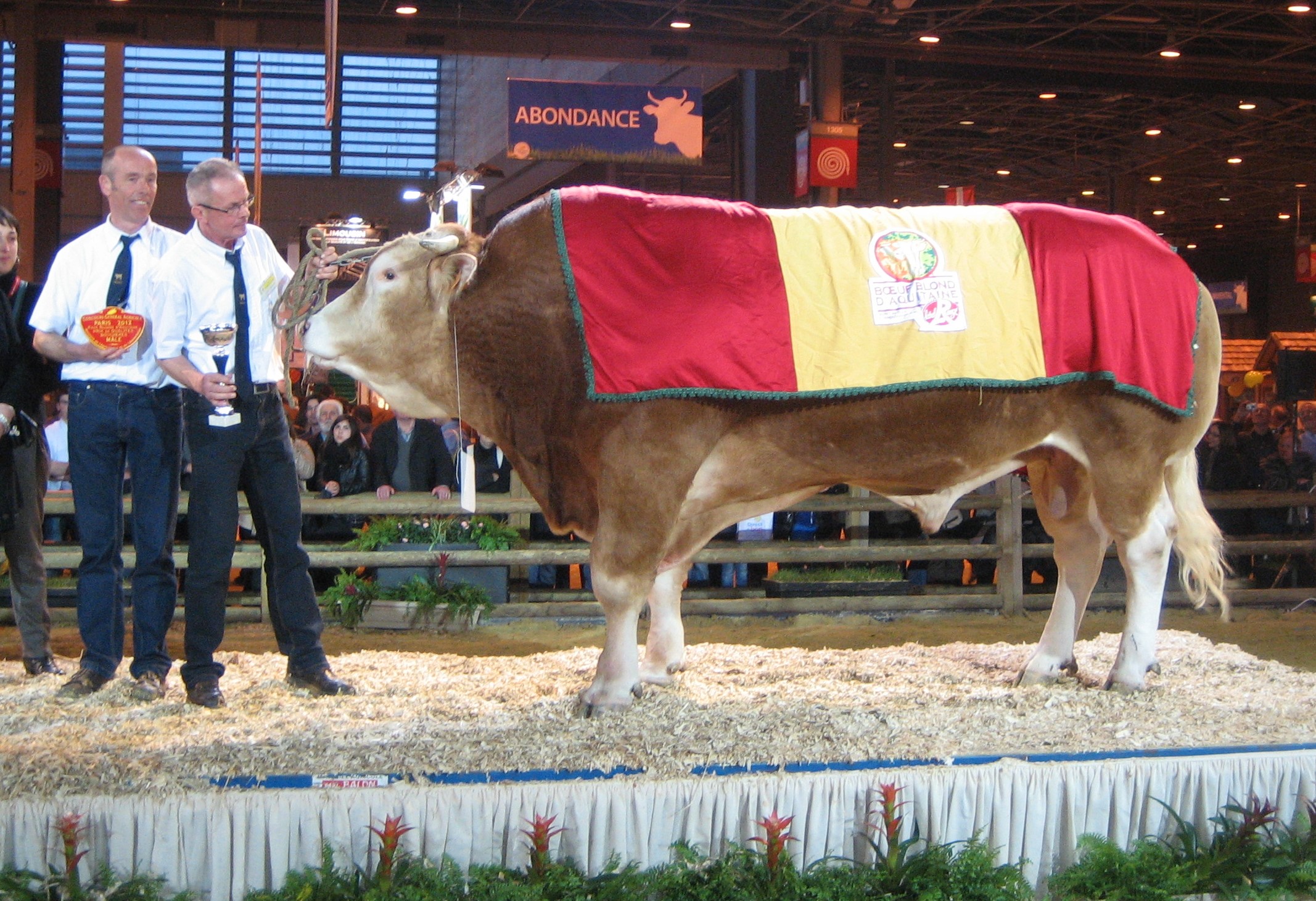 Belangrijk selectiemoment in zicht