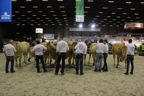 agriflanders