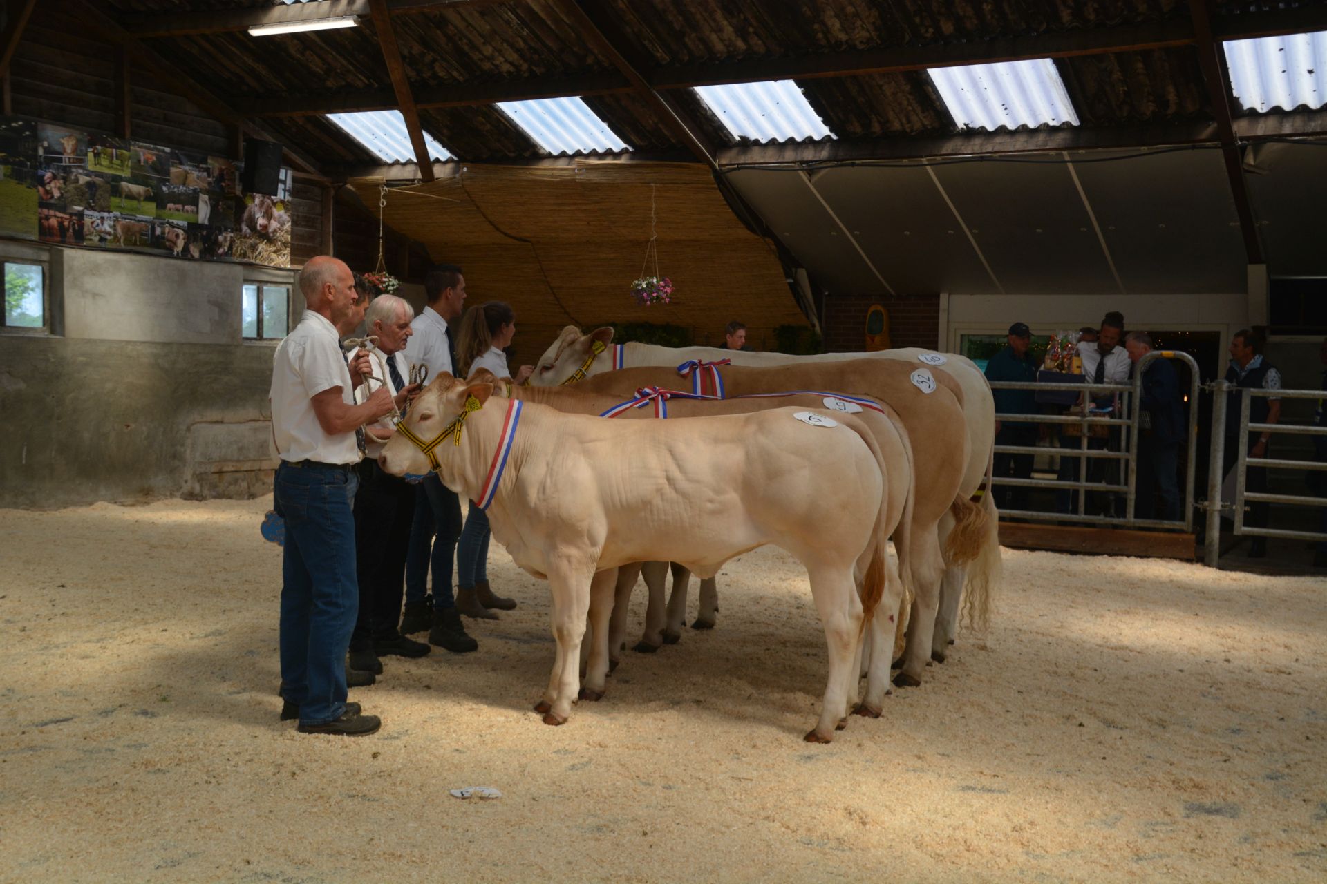 Inschrijving voor jongveekeuring Koekange geopend