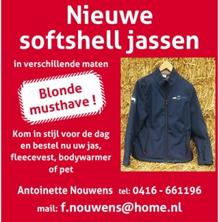 promo