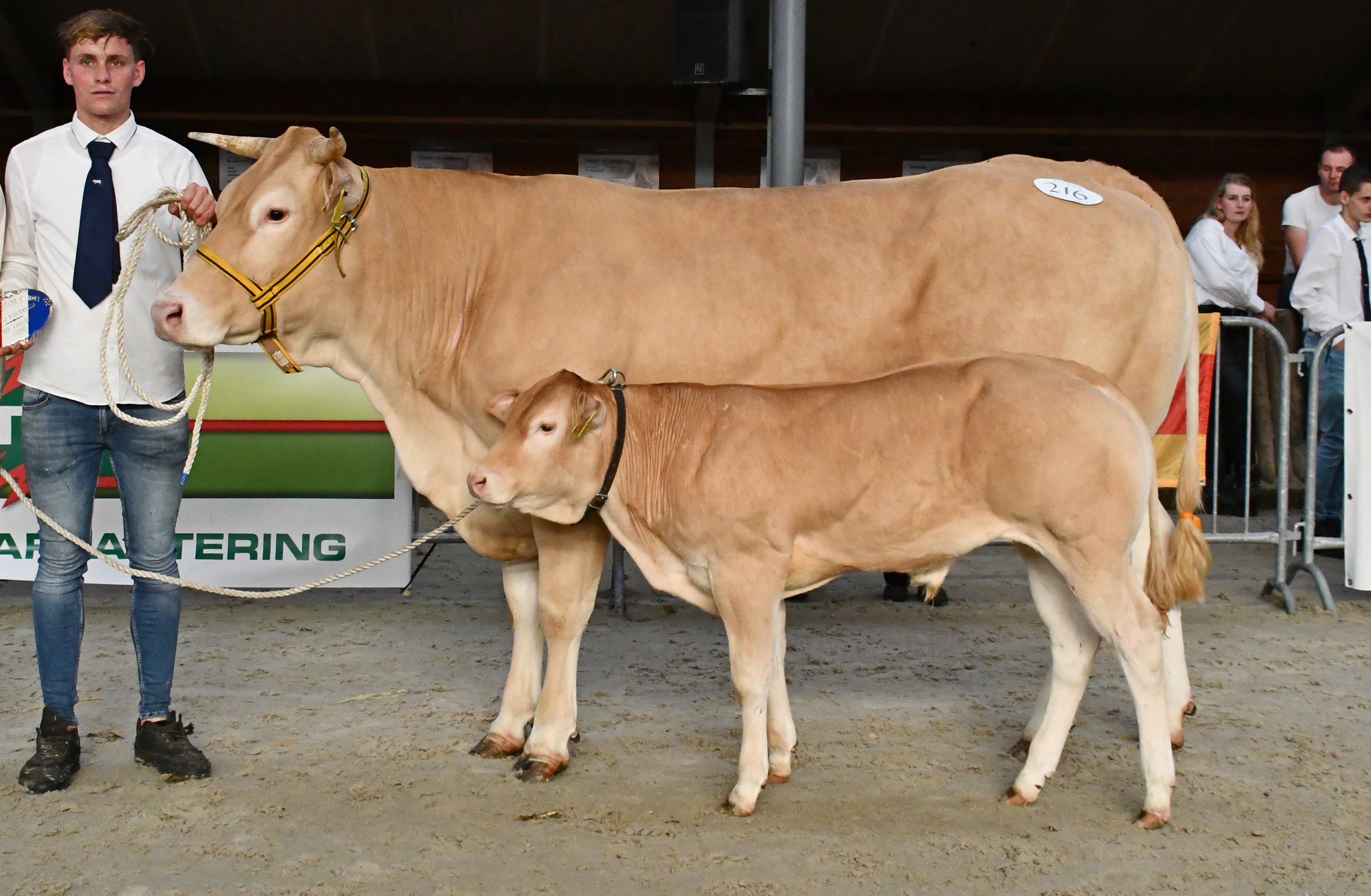 Jonge fokker Menno Roelofsen in beeld