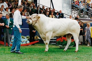 Gerard van Rozelaar met Giel