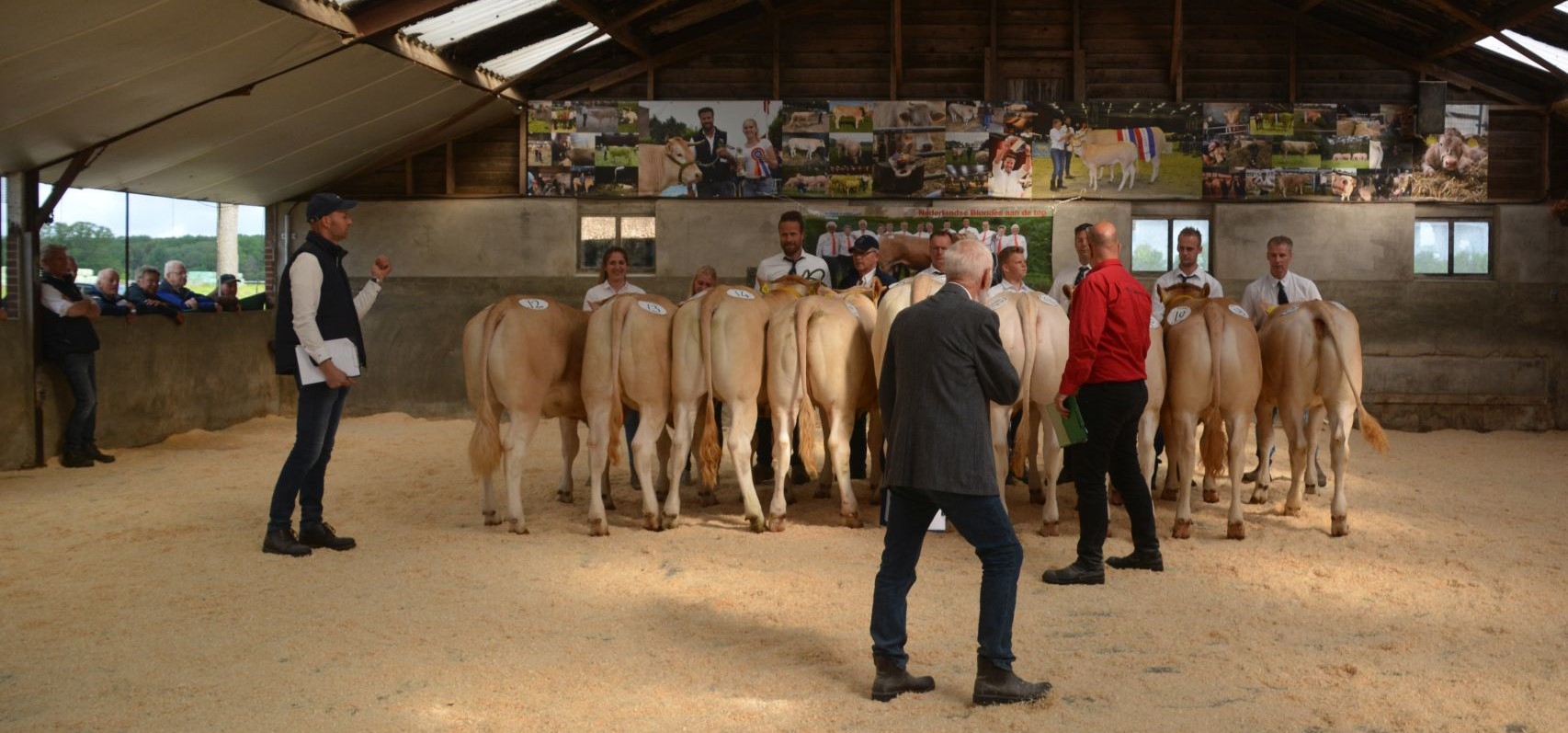 Veel belangstelling voor jongveekeuring in Koekange