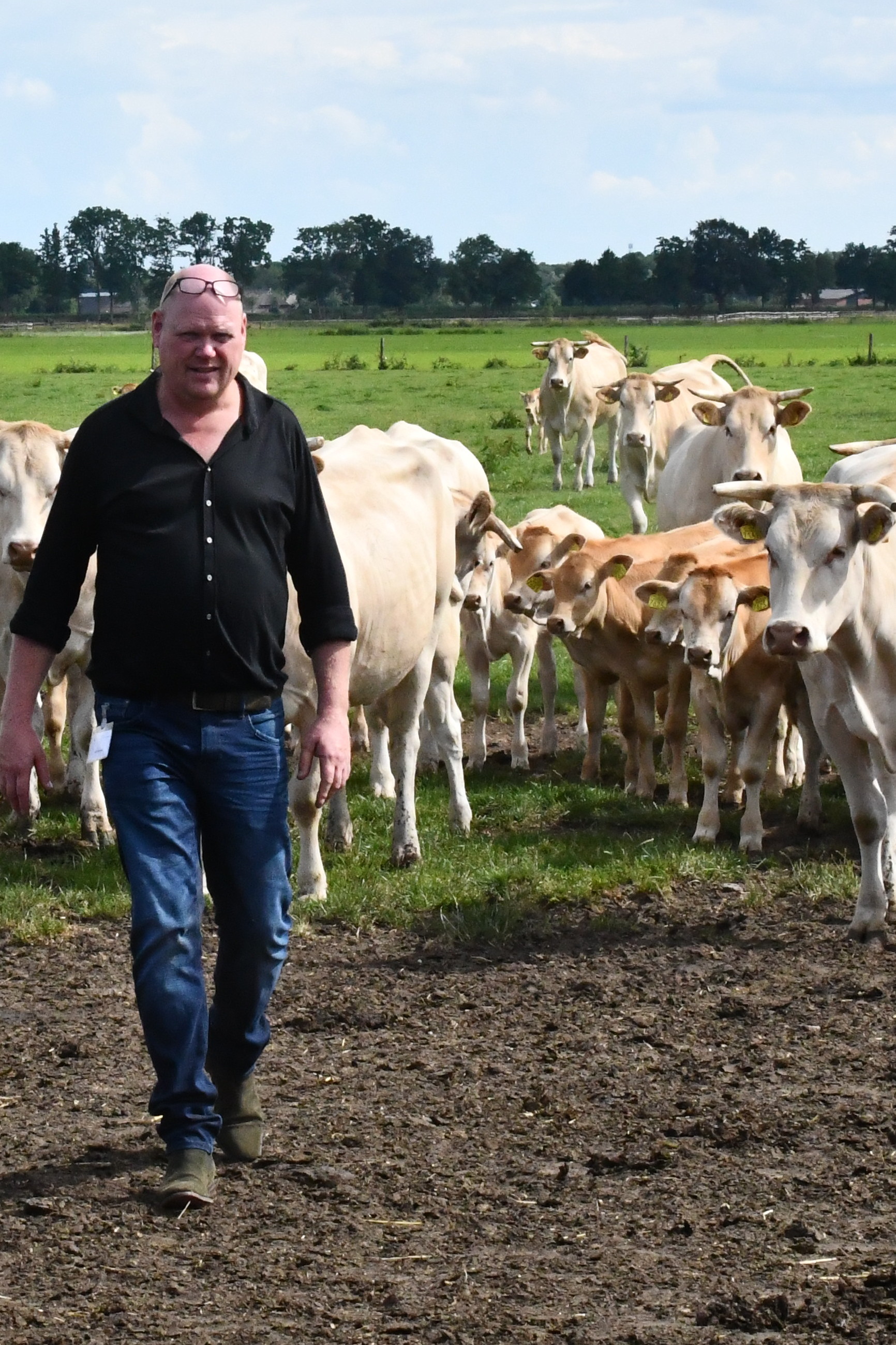 Genomineerden Blonde Award