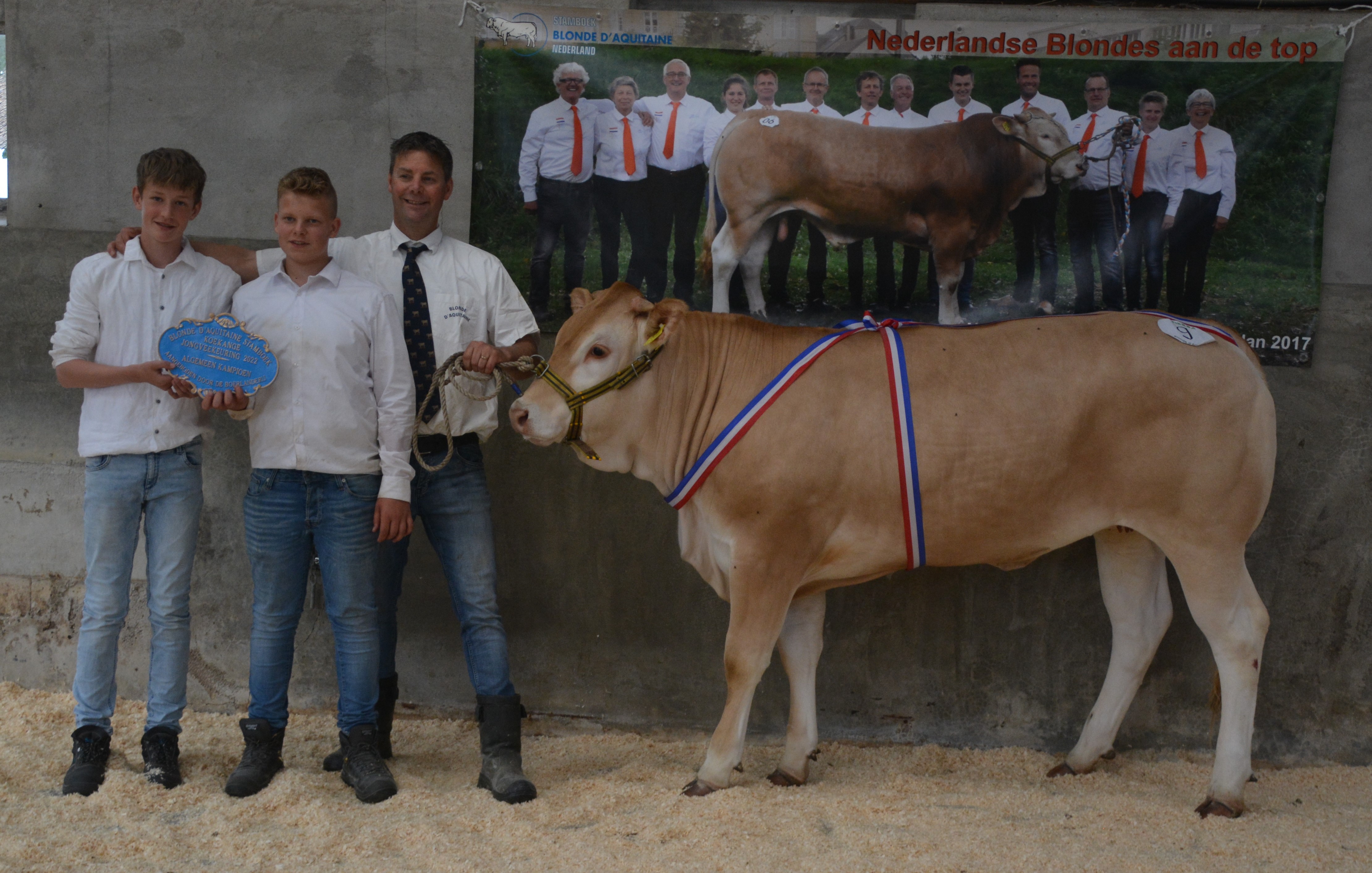Rubrieken jongveekeuring Koekange