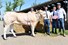 Sunshine vd Woeste Hoeve