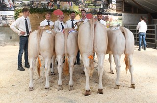Kamp en res kampioenen