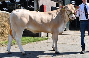 Surprise van de Woeste Hoeve