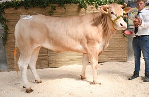 Sophie van de Woeste Hoeve