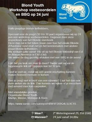 Blond Youth workshop