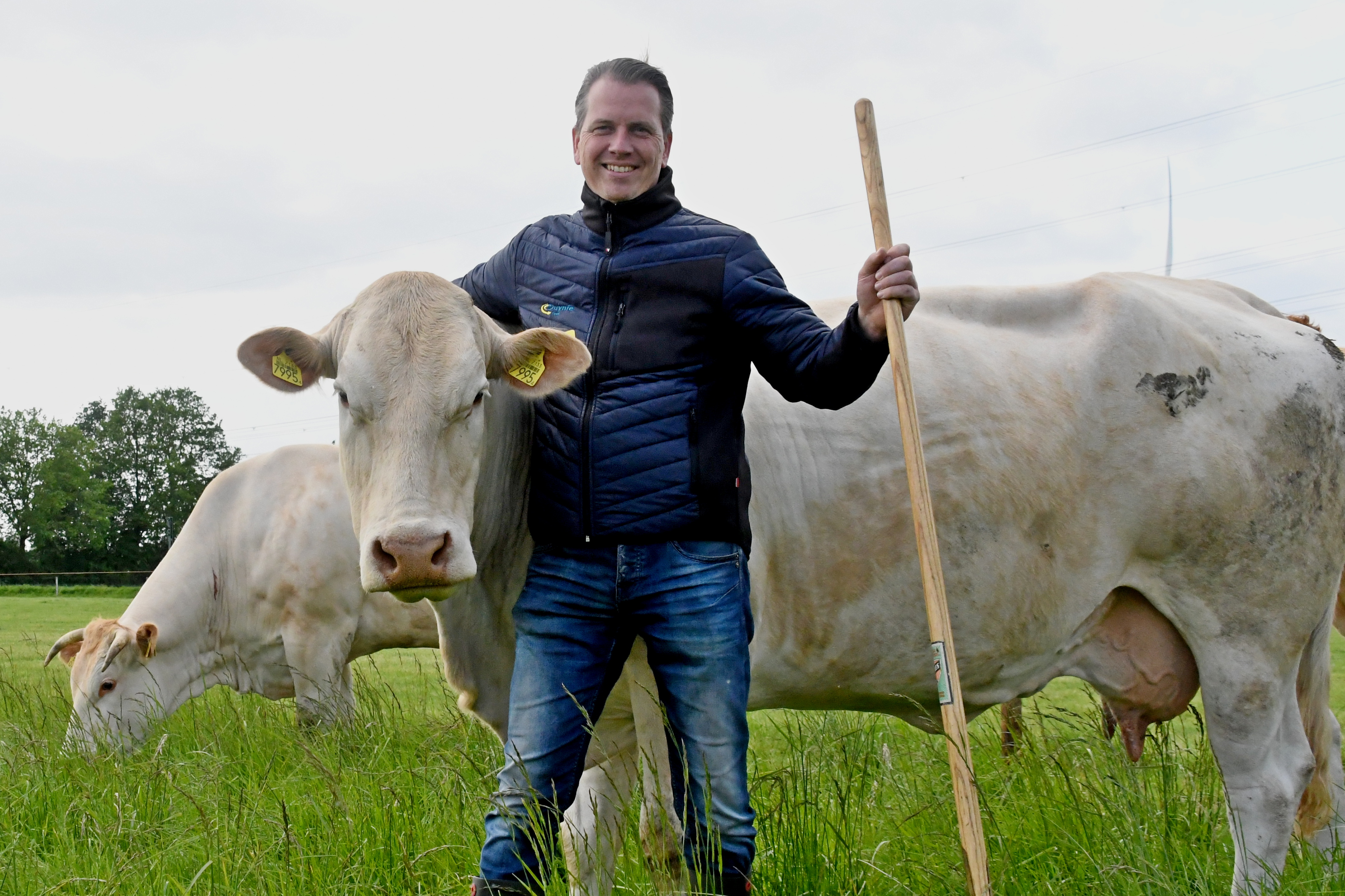 Bart Grob: "de Blonde d'Aquitaine economisch het beste"
