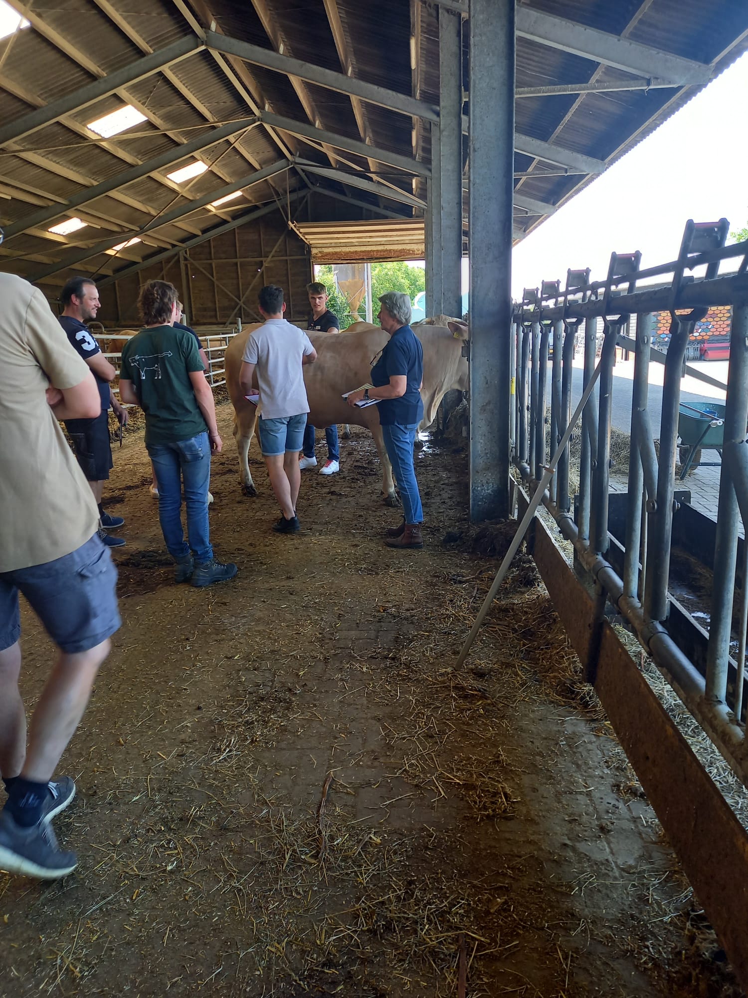 Blond Youth beleefde een geweldige middag