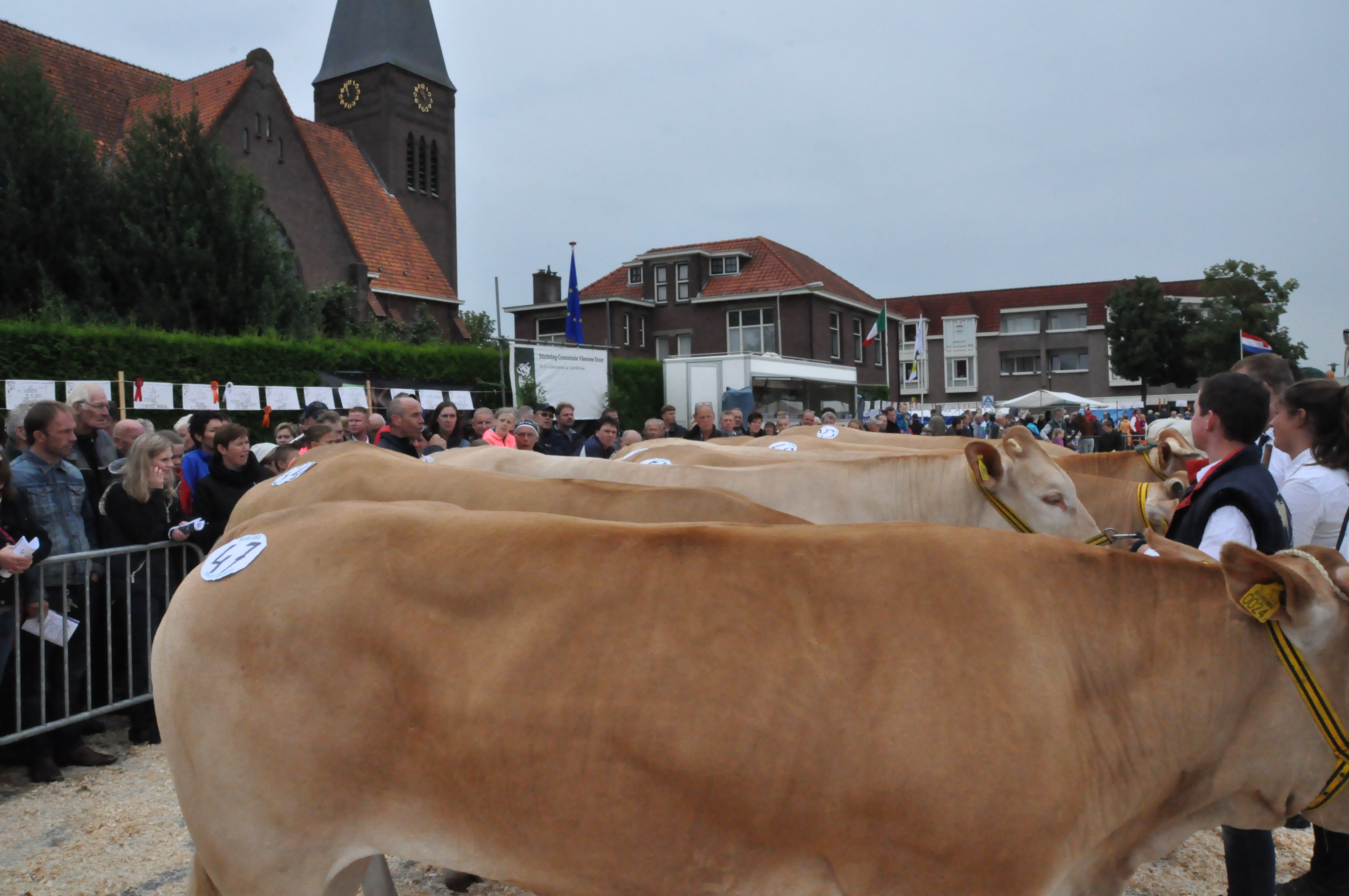 Programma keuring Enter