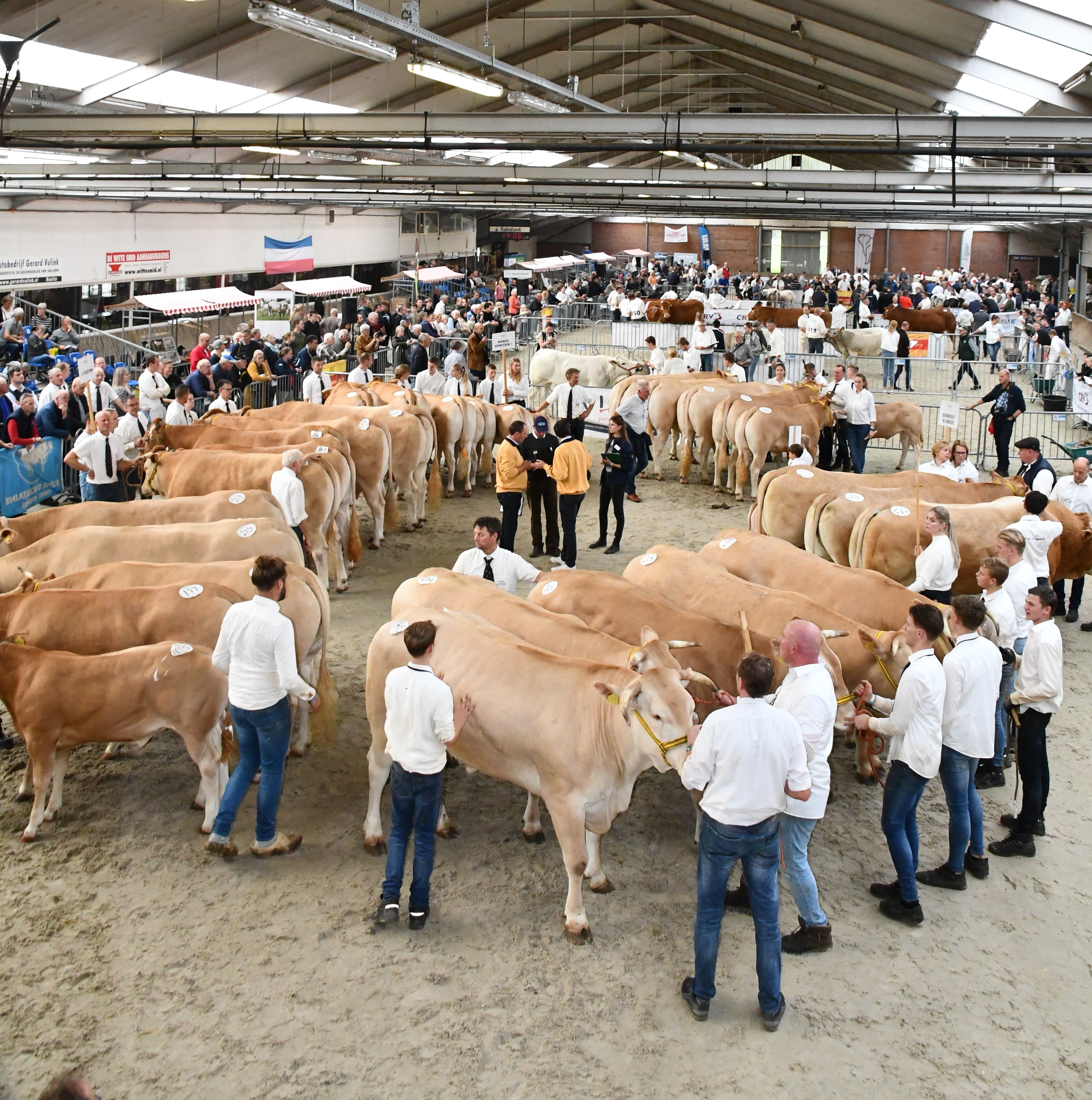 Nationale keuring 28 oktober in Mariënheem 