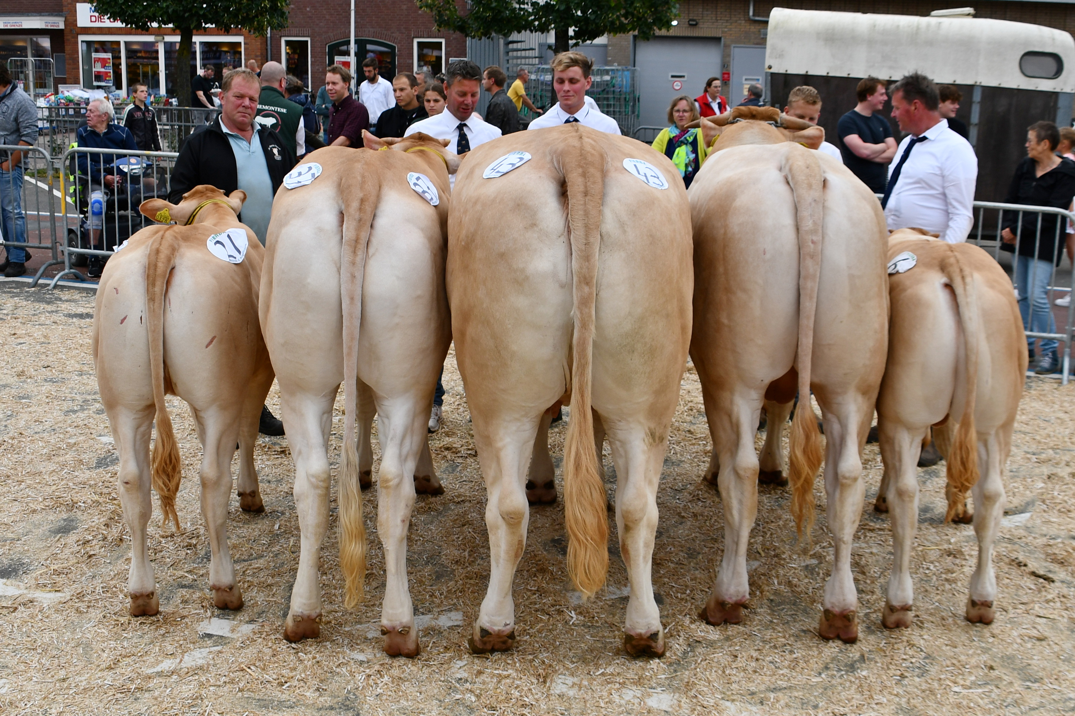 De kampioenen van Enter UPDATE
