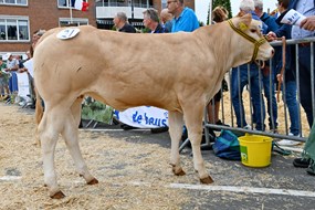 Trofee vd WH