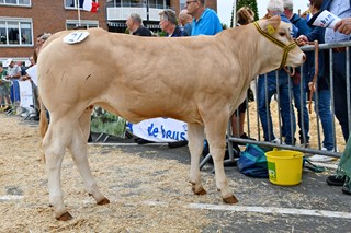Trofee vd WH