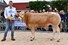Texas vd WH Alg Kamp mnl