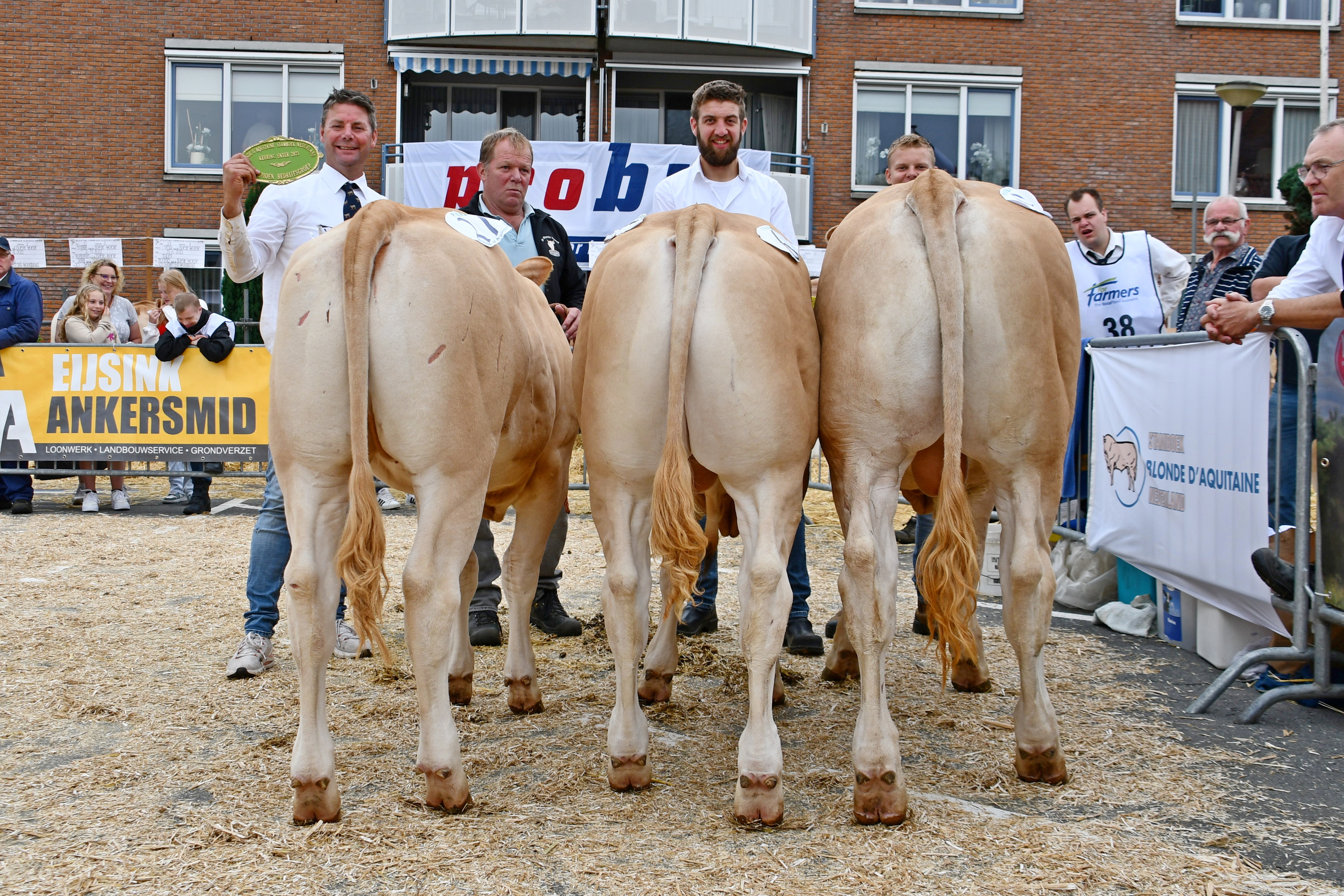 Beste bedrijfsgroep voor de Woeste Hoeve