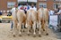 Enter groep de Woeste Hoeve