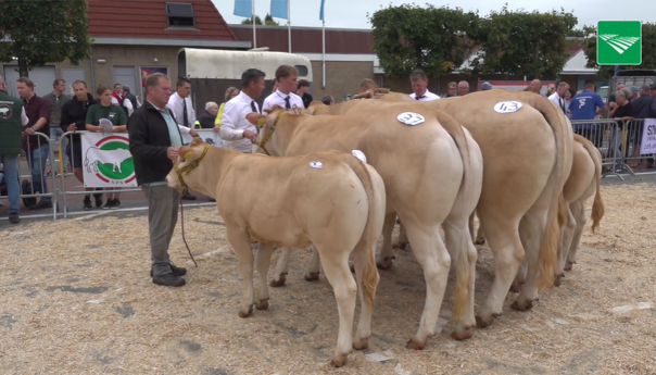 Videobeelden van de keuring in Enter