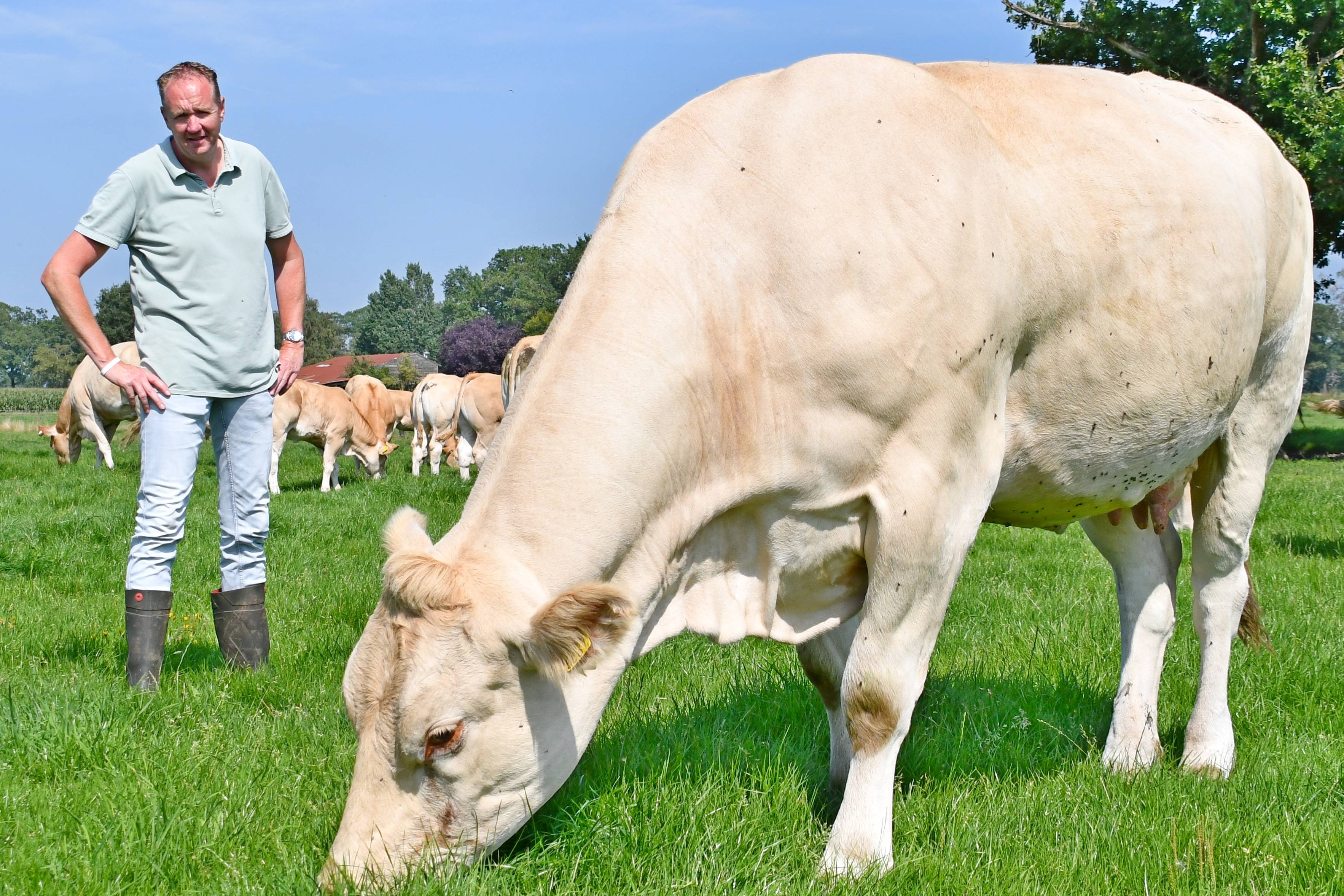 Fokkerijvisie van Anton Schotpoort