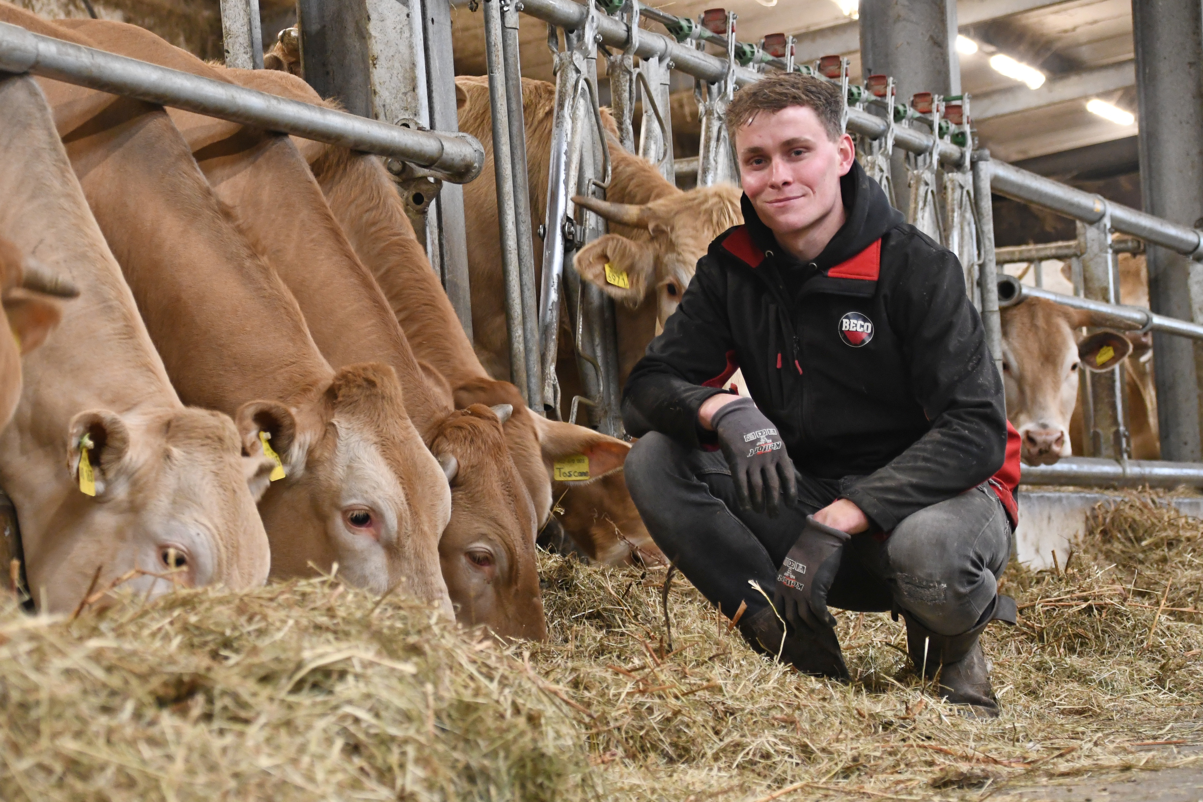 De passie van Menno Roelofsen