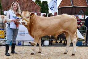 Vera Koekkoek met stiertje