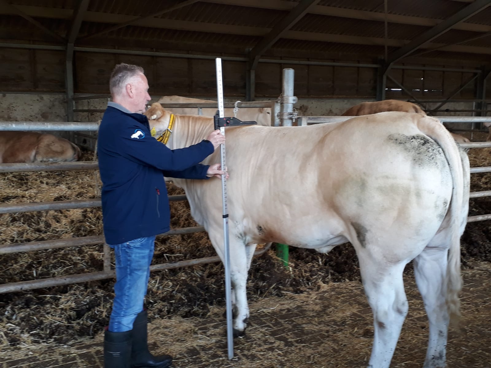 Aanmelden voor het keuren van uw dieren