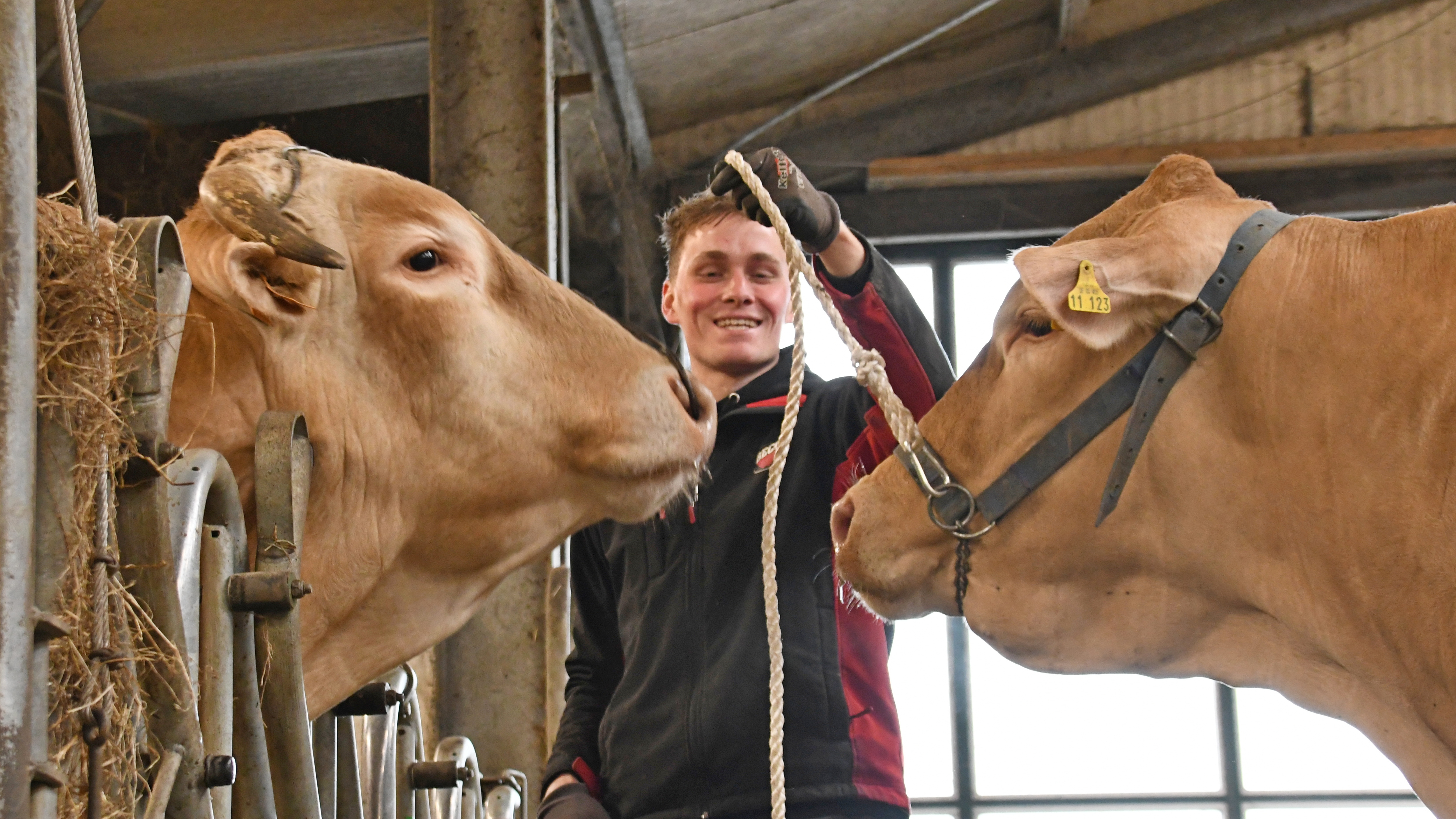 'Alleen vermeerderen van de veestapel motiveert mij niet'