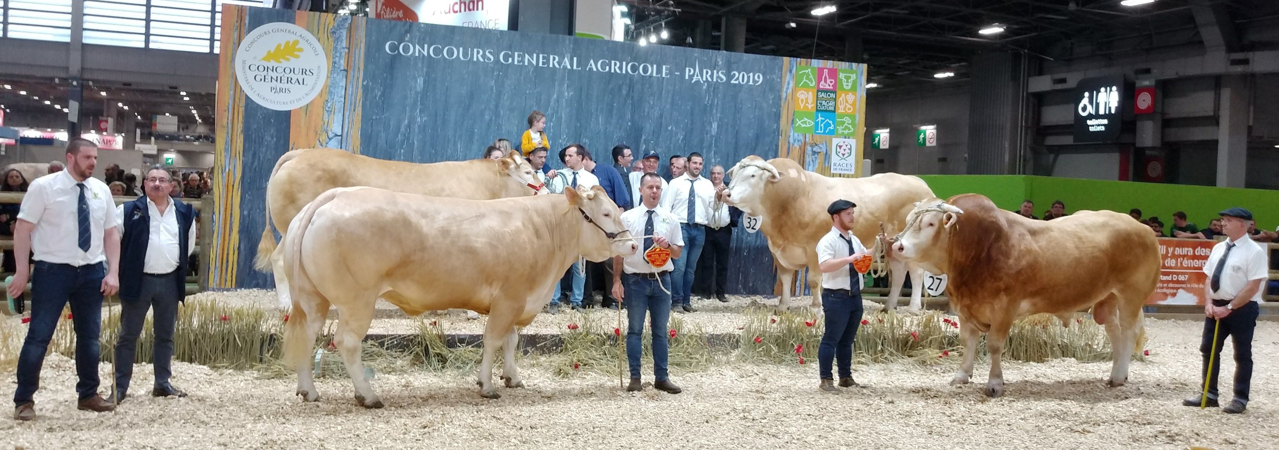 Blonde d'Aquitaine keuring op de SIA in Parijs LIVE