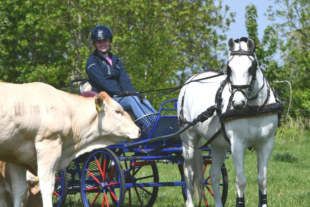 Jong en gek op Blond Lotte Zaaijer