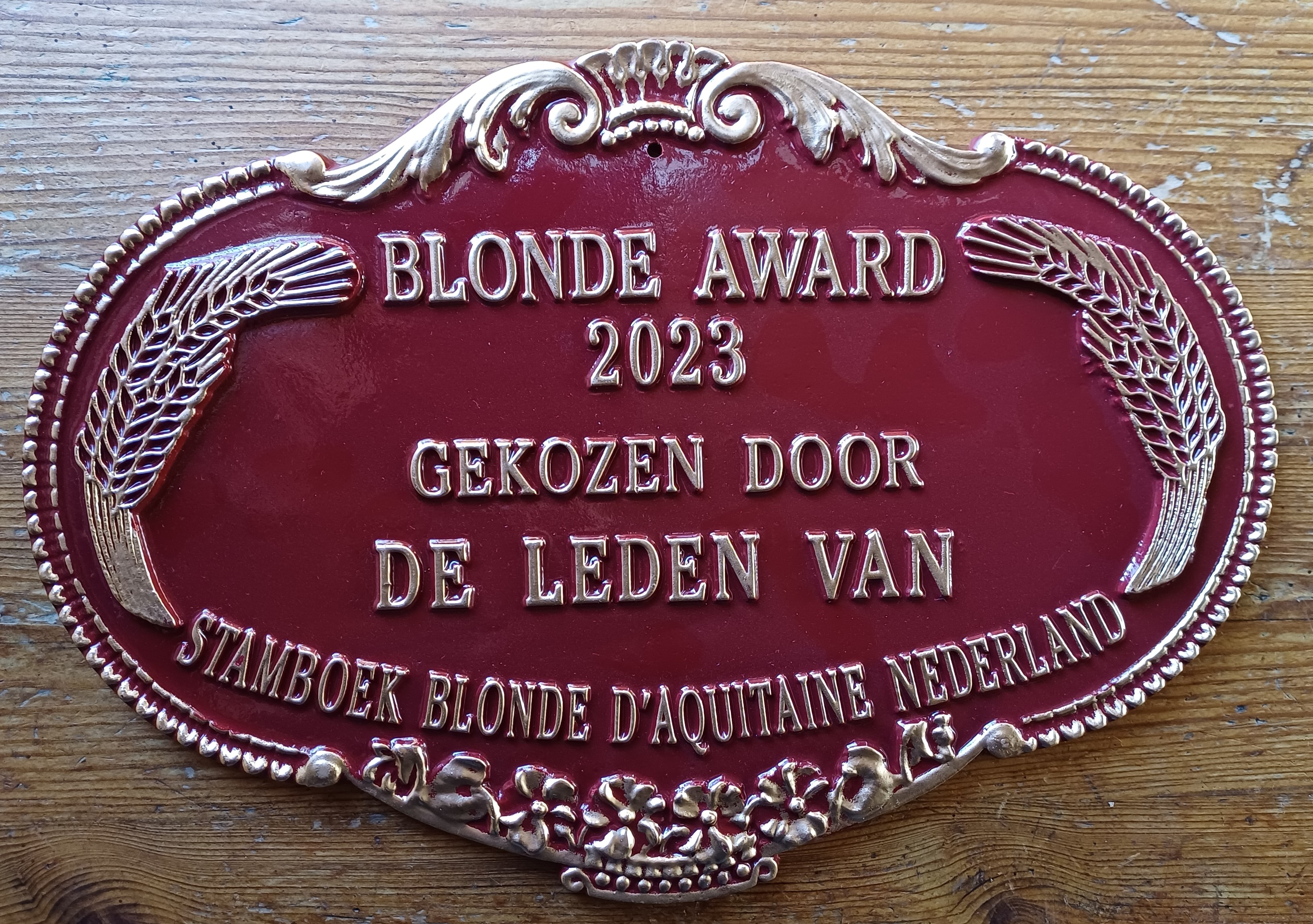 Nomineer je favoriet voor de Blonde Award