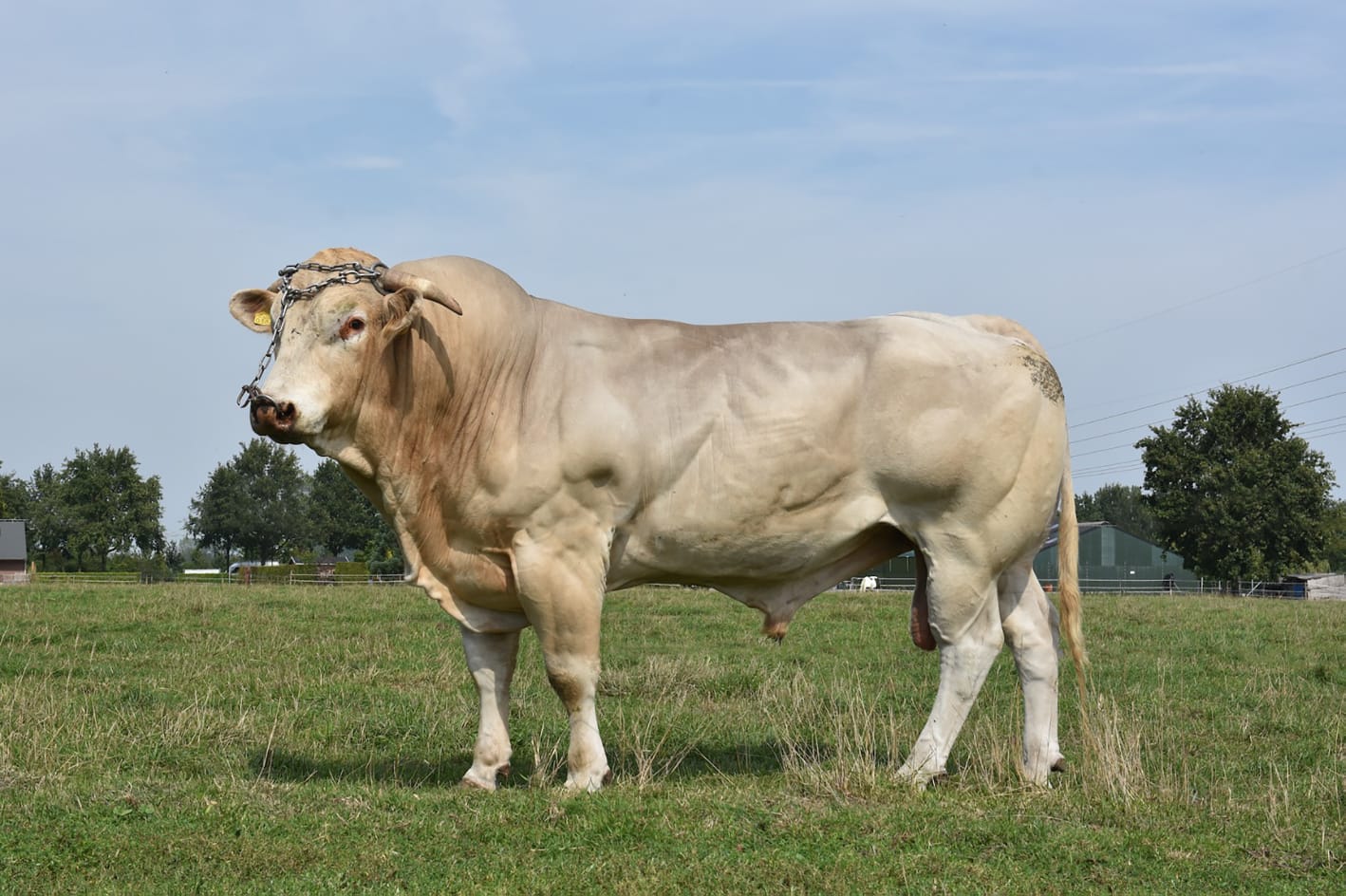 Een tevreden gebruiker