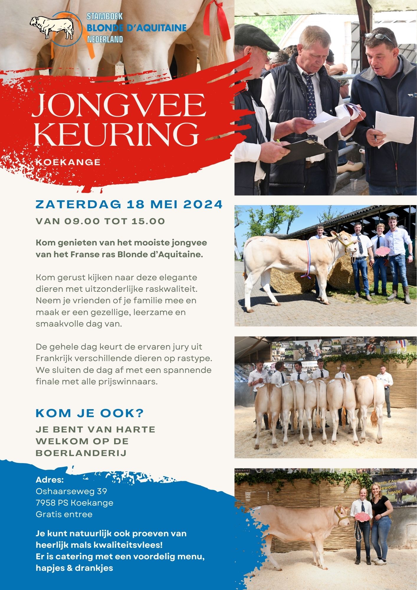 Veel belangstelling voor jongveekeuring in Koekange