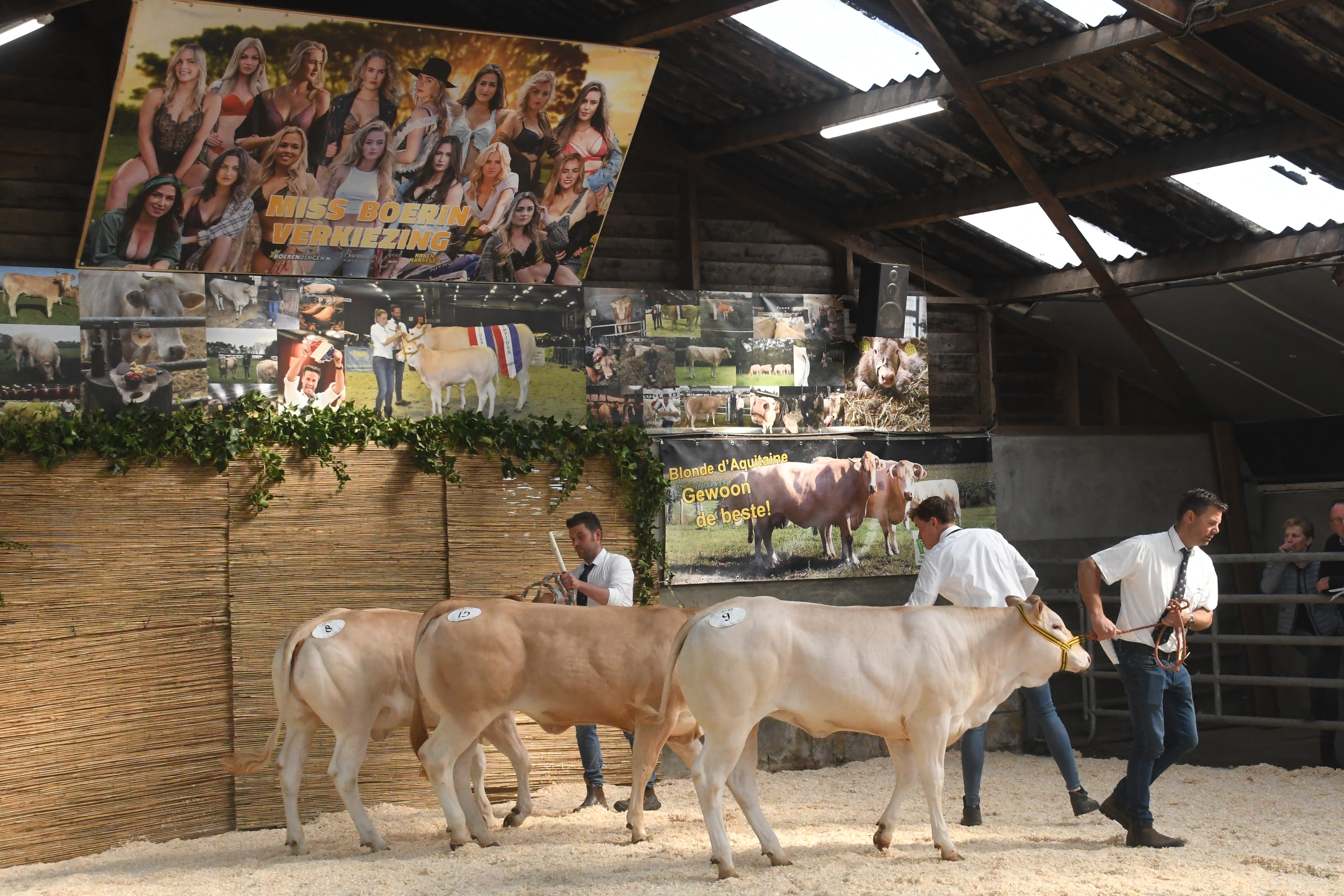 Negen bedrijfsgroepen op de keuring in Koekange