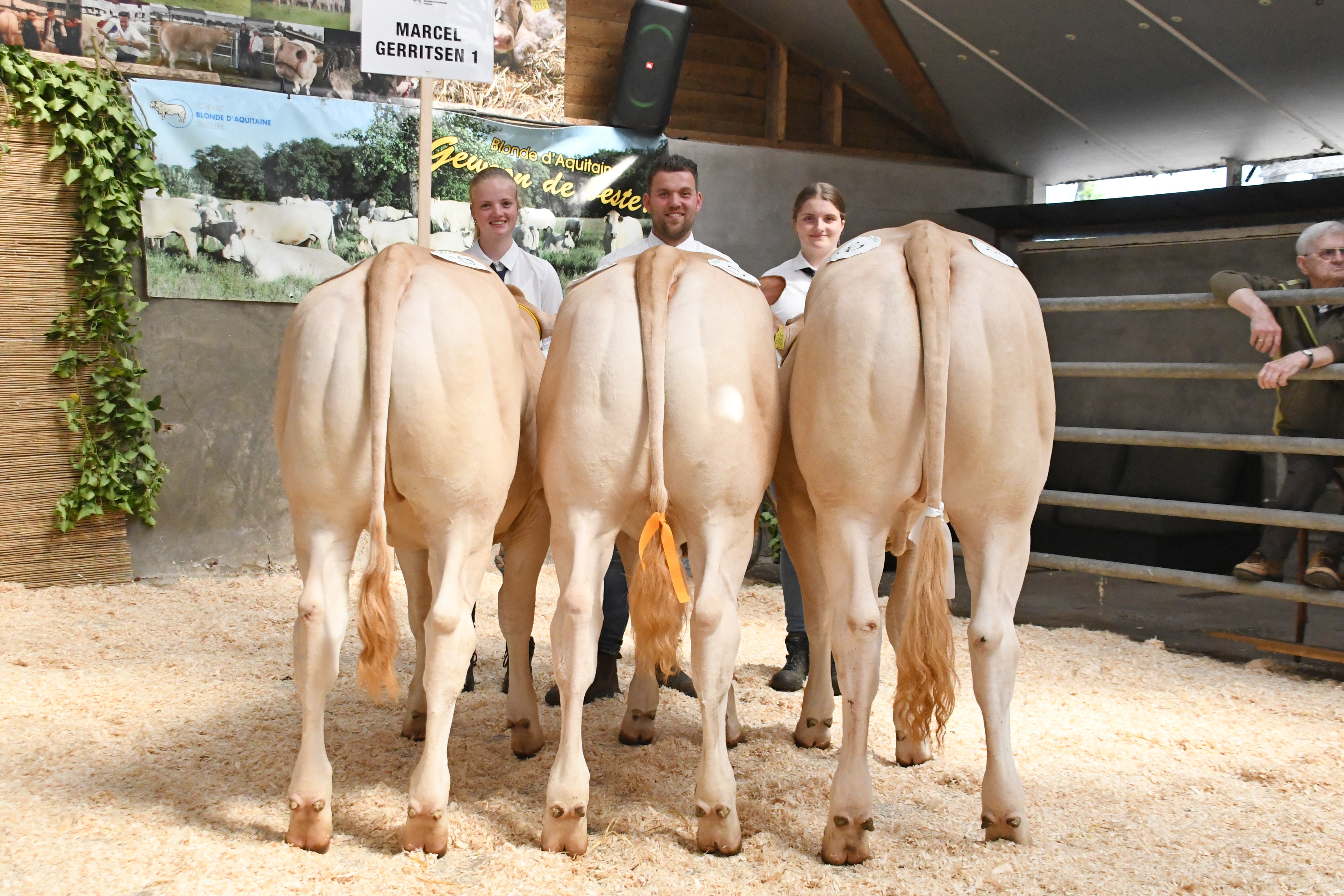 Mooie keuring bedrijfsgroepen in Koekange