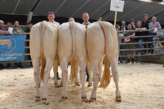 bedrijfsgroep H. Kip