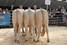 bedrijfsgroep H. Kip